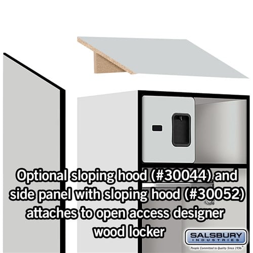 Open Access Designer Wood Locker