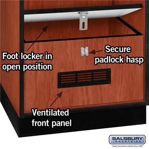 Open Access Designer Wood Locker