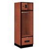 Open Access Designer Wood Locker