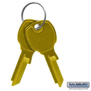 Salsbury Industries 50 Key Blanks [Standard Locks of 4C Horizontal Mailbox] 3799 YourLockerStore